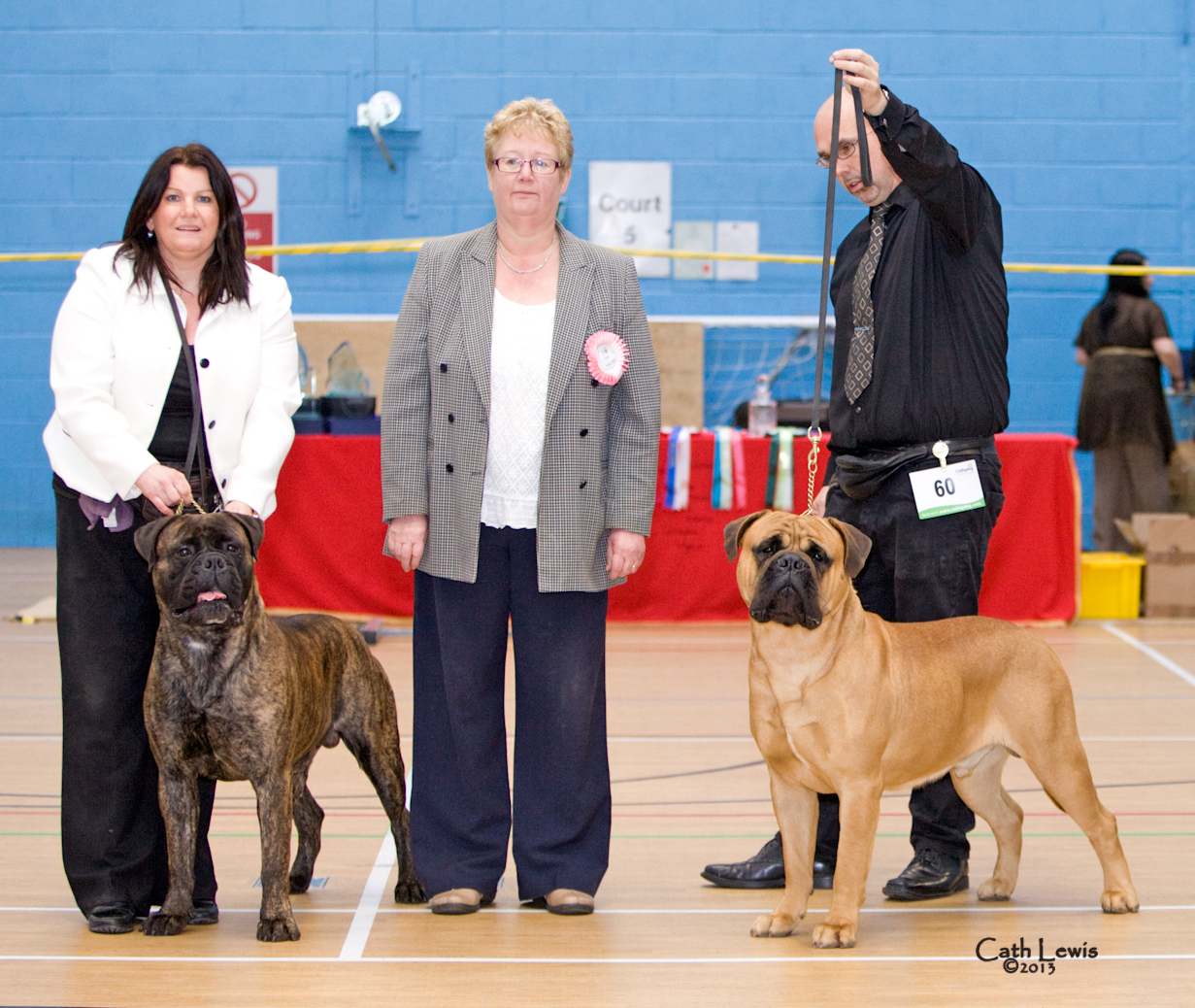 NBC Silver Jubilee Champ Show November 2013